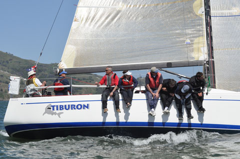 Tiburon