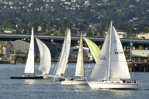 Sea Biscuit, Sunbow 3, Bewitched