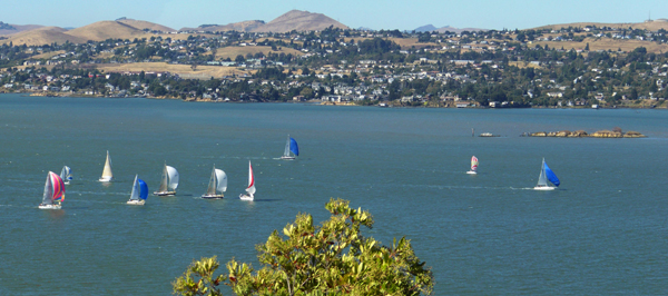 Jazz Cup fleet
