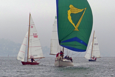 Harp, Folkboats