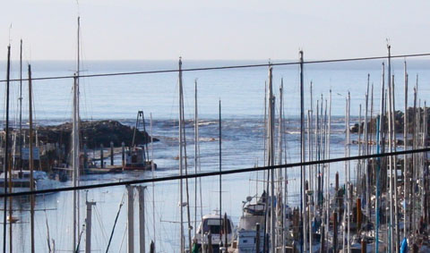 Santa Cruz Harbor