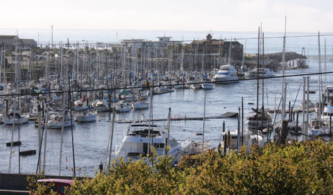 Santa Cruz Harbor