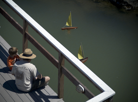 Little sailboats