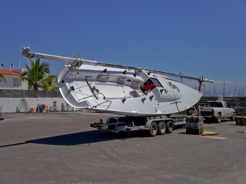 Ocelot on the trailer