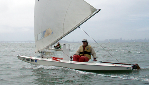 sunfish