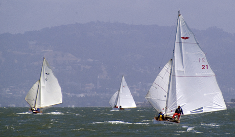 Bird boats