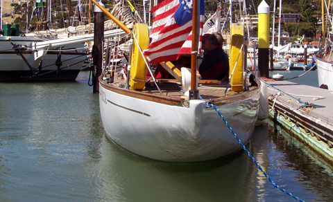 Yucca's stern