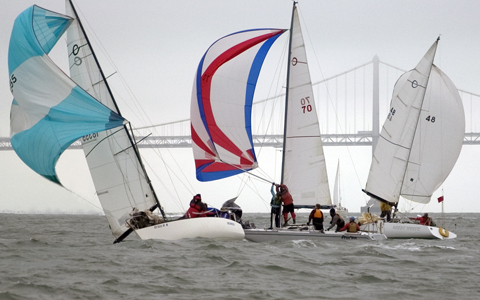 Archimedes, Wetsu, Great White