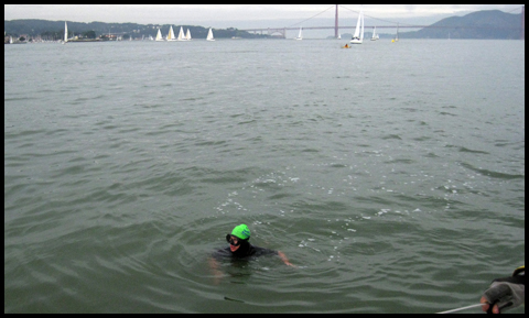 Swimmer