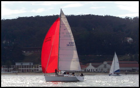 Willow and Sunsail