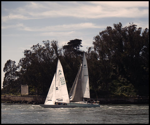 Etchells Dream Keeper