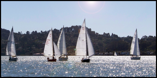 TYC race