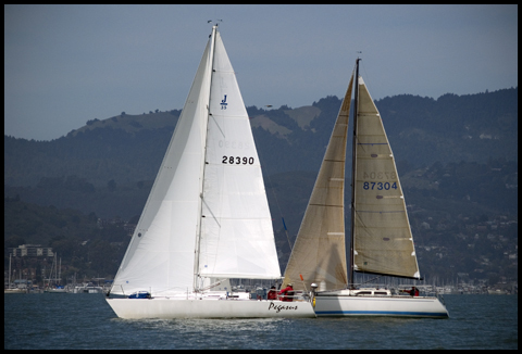 Pegasus and Wahoo