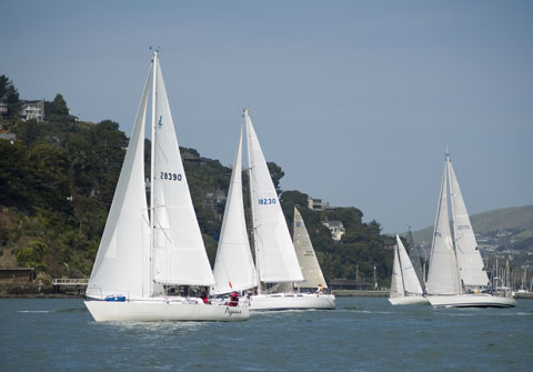 Belvedere Cove group