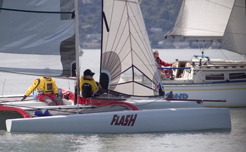 Flash and Zeehond