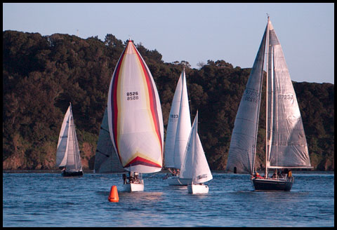 Cal 20 squeeze