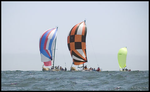 Variety Show, Summer Breeze, Yellow Belly
