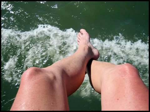Legs