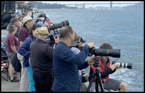 Seawall photogs