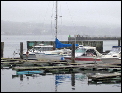 Bodega Harbor