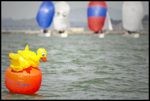 rubber ducky