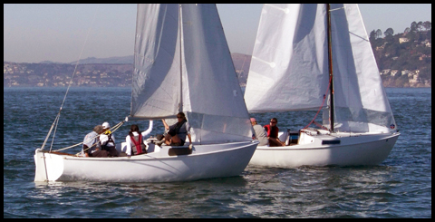 Cal 20s