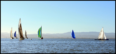 fleet