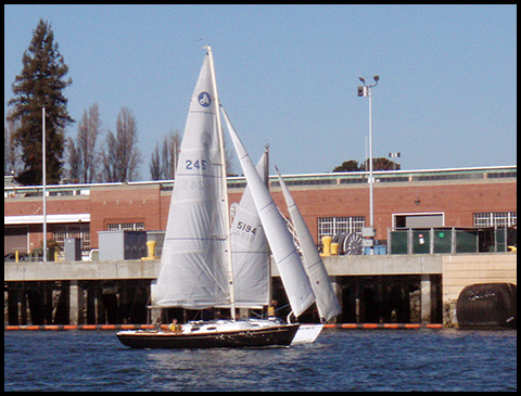 Scrimshaw and Meliki