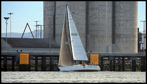Primordial Sloop