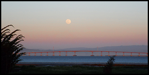 Moonrise