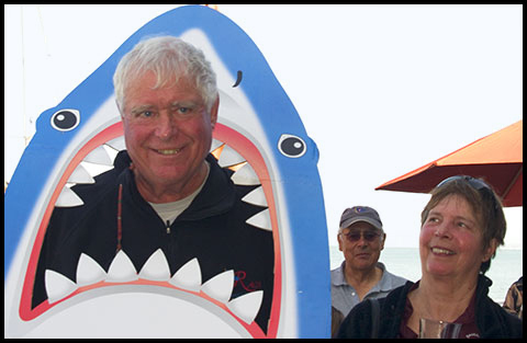 Shark coutout