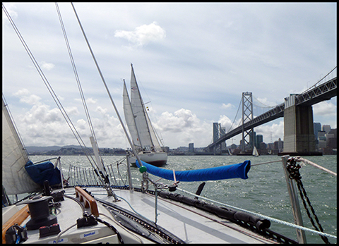 Echapee at the Bay Bridge