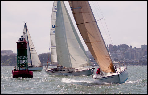 Wahoo, XL and Zeehond