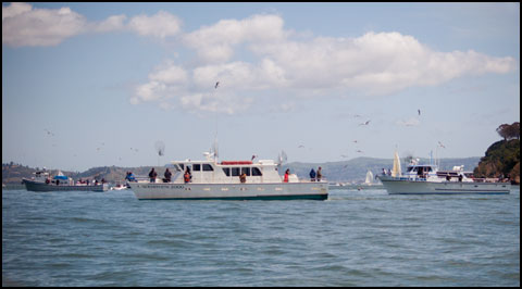 Fishing boats