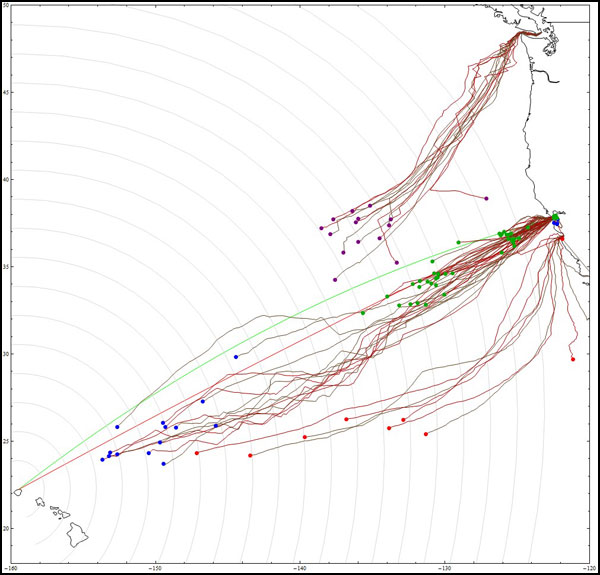four fleets racing to Hawaii