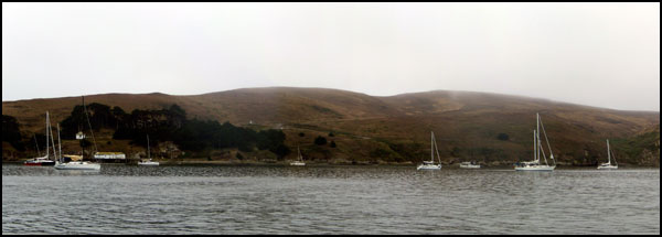 Drakes Bay