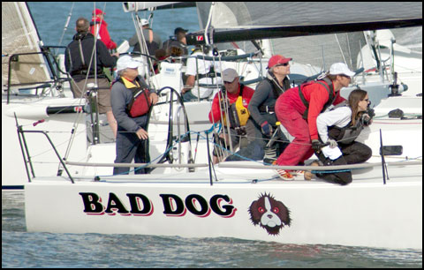 Bad Dog