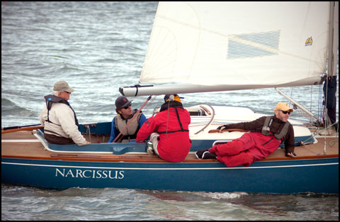 Narcissus