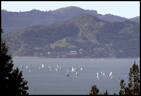 View from the Berkeley Hills