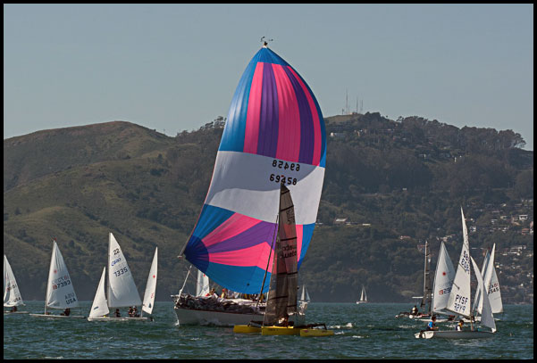 big boat sailing through the Laser fleet