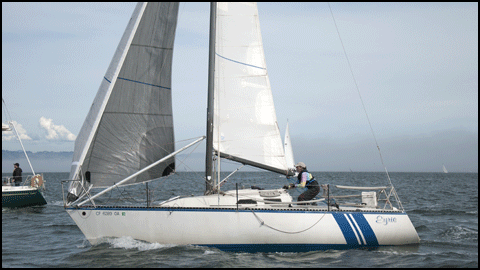 Eyrie sets the chute
