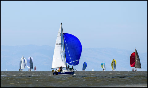 Wind Speed in the South Bay