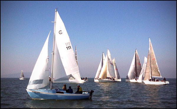 Cal 20 and others