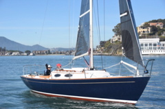 CAW_4285