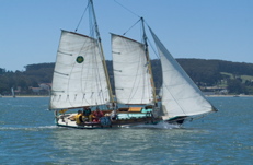 DSCF0111