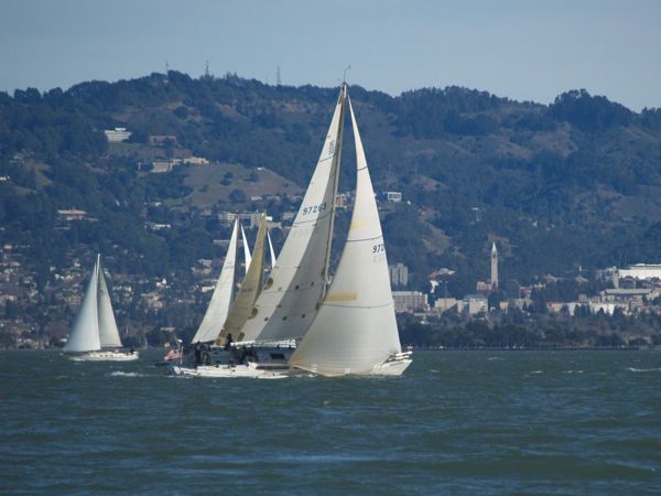 P1271382