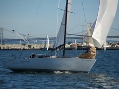 P1271491