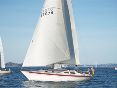 P1271539