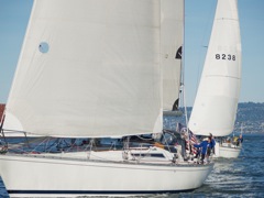 P1271542