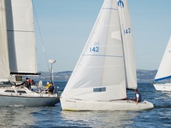 P1271558